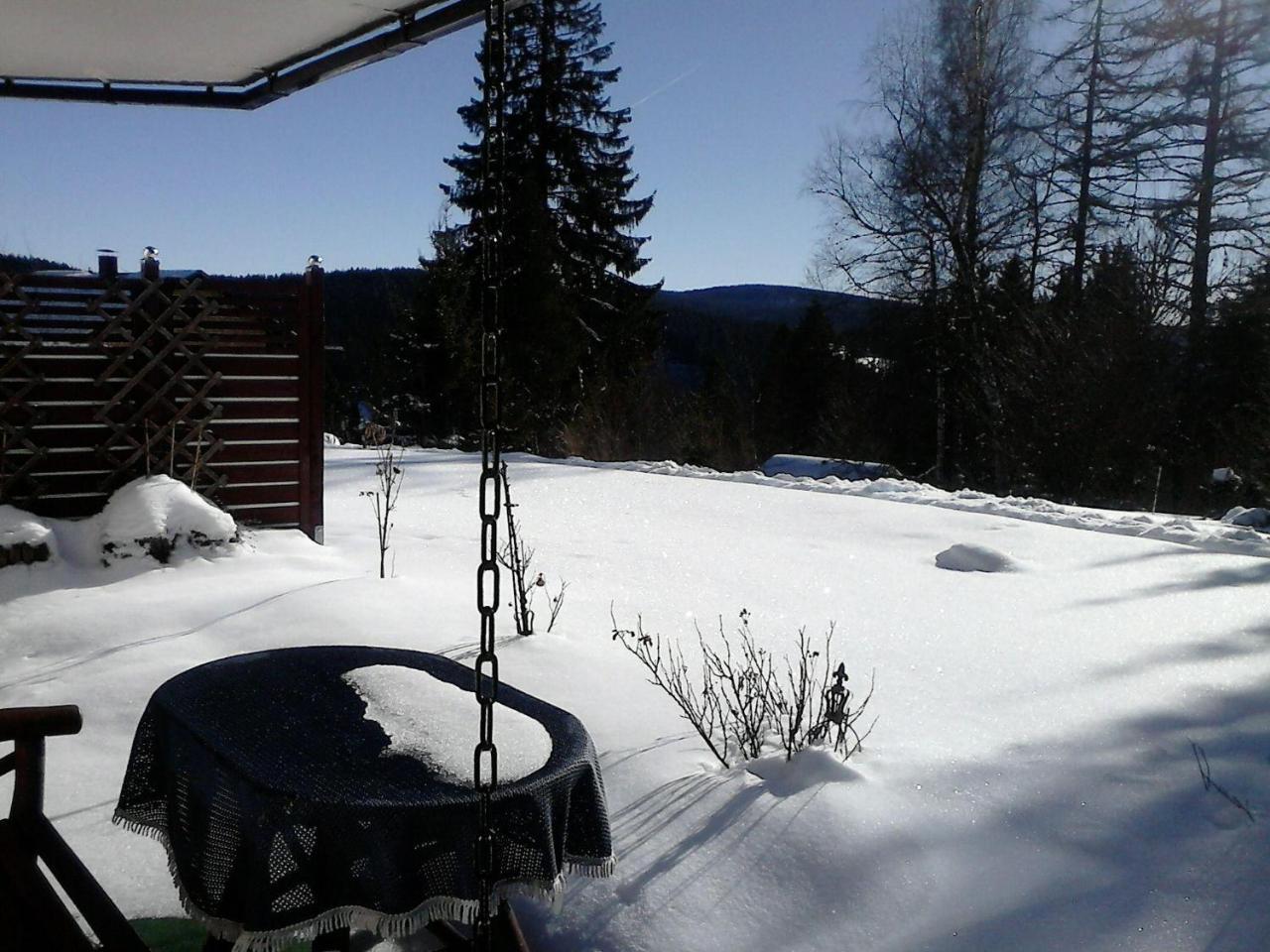 Sonnige-Waldruhe-Am-Skiberg Hotel Feldberg  Zewnętrze zdjęcie